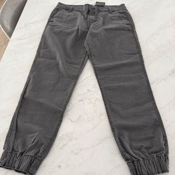 Eddie Bauer Women’s Adventure Ripstop Jogger Dark Smoke 8 Granola Girl Gorpcore - Picture 2 of 9